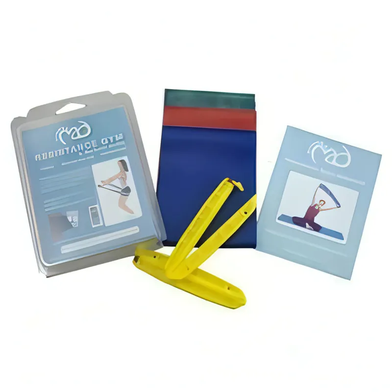 Fitness Mad Resistance Band Gym and Workout Guide